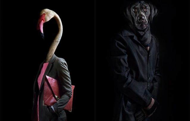 Τι θα φορούσαν τα ζώα αν ήταν άνθρωποι -Οι μαγικές φωτογραφίες του Miguel Vallinas - Φωτογραφία 3