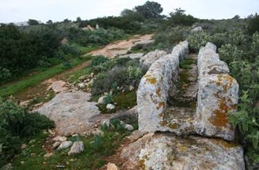 Σκηνές Σοκ στην απελευθερωμένη Λιβύη: Ισλαμοφασίστες ισοπεδώνουν αρχαία Ελληνική Νεκρόπολη (προστατευόμενη και από την Unesco!) - Φωτογραφία 4