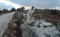 Σκηνές Σοκ στην απελευθερωμένη Λιβύη: Ισλαμοφασίστες ισοπεδώνουν αρχαία Ελληνική Νεκρόπολη (προστατευόμενη και από την Unesco!) - Φωτογραφία 7