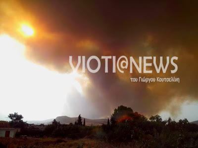 Οι καπνοί από τη φωτιά στη Λιβαδειά έχουν καλύψει και τη Χαλκίδα - Φωτογραφία 2