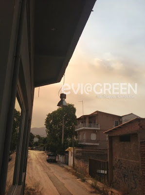 Οι καπνοί από τη φωτιά στη Λιβαδειά έχουν καλύψει και τη Χαλκίδα - Φωτογραφία 3
