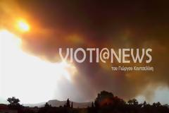 Οι καπνοί από τη φωτιά στη Λιβαδειά έχουν καλύψει και τη Χαλκίδα