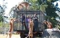 ΑΠΙΘΑΝΕΣ ΕΙΚΟΝΕΣ ΚΑΙ VIDEO: Πάρκο άγριας ζωής βάζει τους… τουρίστες σε
κλουβί !!! - Φωτογραφία 5