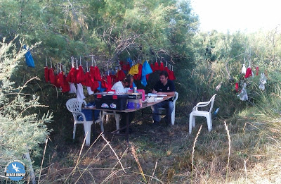 Δακτυλιώσεις πουλιών στο Δέλτα του Έβρου - Φωτογραφία 3