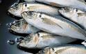 Υγεία: Λιπαρά ψάρια εναντίον του καρκίνου