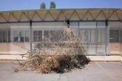 Παρέλαση αδιαφορίας και σκουπιδιών στο Πανεπιστήμιο Κρήτης