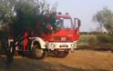 Μεγάλη φωτιά στη Γκιώνα της Ξάνθης ! 7 οχήματα της Πυροσβεστικής και βοήθεια από άλλους νομούς !