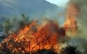 Πάτρα-Tώρα: Φωτιά στο πρανές της Εθνικής Οδού Πατρών - Πύργου