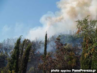 Πρέβεζα - Μεγάλη φωτιά στον Μεσσοπόταμο κοντά στο χωριό - Φωτογραφία 1