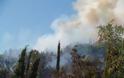 Πρέβεζα - Μεγάλη φωτιά στον Μεσσοπόταμο κοντά στο χωριό