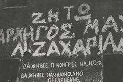 Στην τελική φάση του εμφυλίου το 1949 από τους 22.000 πολεμιστές του ΔΣΕ οι 14.000 ήταν Σλάβοι!