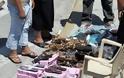Κατασχέσεις προϊόντων - μαϊμού σε λαϊκές αγορές της Αθήνας