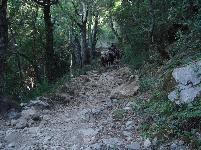 3545 - Προσκύνημα στην κορυφή του Άθω (φωτογραφίες) - Φωτογραφία 3