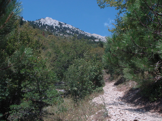 3545 - Προσκύνημα στην κορυφή του Άθω (φωτογραφίες) - Φωτογραφία 4