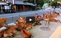 Ελάφια κάνουν κατάληψη σε πόλη της Ιαπωνίας [Video]