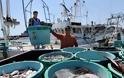 Απαγορεύθηκαν οι εισαγωγές θαλασσινών από την Φουκουσίμα