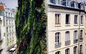 Ο νέος «κάθετος» κήπος του Blanc στο Παρίσι - Φωτογραφία 3