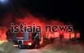 Ιστιαία: Το σπίτι μιας οικογένειας τυλίχθηκε στις φλόγες! - Φωτογραφία 5