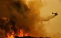 Η τρίτη σε μέγεθος στην ιστορία των ΗΠΑ η πυρκαγιά της Καλιφόρνια