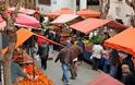 Aμαλιάδα: Προπηλάκισαν και κυνήγησαν το μεικτό κλιμάκιο ελέγχων στη λαϊκή αγορά