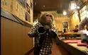 Μαϊμού σερβίρει σε εστιατόριο ( Video )