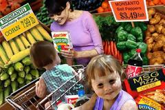 Άφιξη codex alimentarius στην Ελλάδα...Μια φωτογραφία 1000 λέξεις...