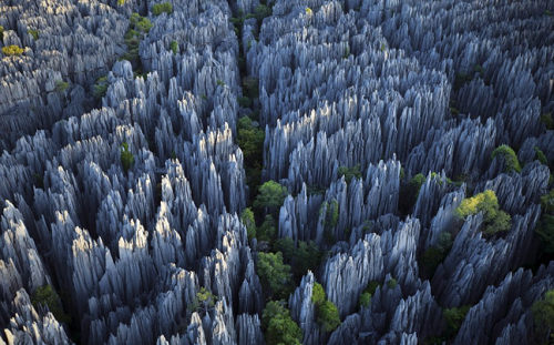 Το μεγαλύτερο «πέτρινο δάσος» του κόσμου! - Φωτογραφία 4