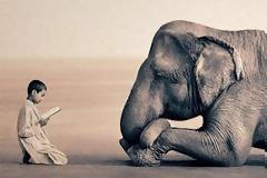 Κάτι περισσότερο από μια απλή φωτογραφία!