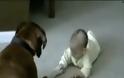 VIDEO: Σκύλος και μωράκι χέρι- χέρι!