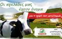 ΔΕΙΤΕ: Ποιες εταιρίες φρέσκου γάλακτος ταίζουν μεταλλαγμένες τροφές τις αγελάδες!!! - Φωτογραφία 2