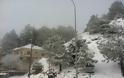 Χιόνια στην Καστοριά. Δεν μιλάμε για βουνά, μέσα στην πόλη και σε ολόκληρο τον νομό - Φωτογραφία 2