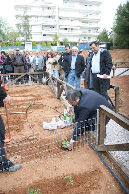 Τον πρώτο σύγχρονο Δημοτικό Λαχανόκηπο παρέδωσε ο Δήμαρχος Αμαρουσίου Γ. Πατούλης σε οικογένειες της πόλης - Φωτογραφία 2