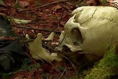 Το δάσος της αυτοκτονίας.(Vids+Pics)