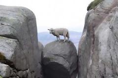 ΔΕΙΤΕ: 5 απίστευτοι ισορροπημένοι βράχοι...