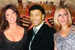 Η shwobiz πάει ... βουλή