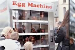 Ένας αλλιώτικος αυτόματος πωλητής αβγών