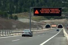 Αρκουδάκι σκοτώθηκε σε τροχαίο στην Φλώρινα