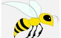 ΔΕΙΤΕ: Γιατί οι μέλισσες πεθαίνουν αφού μας τσιμπήσουν; - Φωτογραφία 1