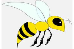 ΔΕΙΤΕ: Γιατί οι μέλισσες πεθαίνουν αφού μας τσιμπήσουν;