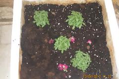 AΠΟΚΛΕΙΣΤΙΚΟ:Χάθηκε κάθε ιερό και όσιο!