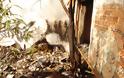 Ριζούπολη: Συνθήκες τρώγλης στο οικόπεδο της Columbia