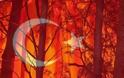 ΠΡΟΚΛΗΣΗ: Φέρνουν Τούρκους για να προστατεύσουν τα δάση μας!