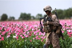 Πούτιν: Τέρμα στα ναρκωτικά από το Αφγανιστάν μέσω του ΝΑΤΟ - Φωτογραφία 1