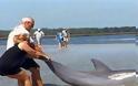 VIDEO: Απίστευτη διάσωση δελφινιού στη Φλόριντα