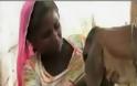 VIDEO: Γυναίκα θηλάζει… νεογέννητο μοσχαράκι!
