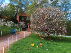 ΔΕΙΤΕ: Ένα δέντρο με 10.000 πασχαλινά αβγά! - Φωτογραφία 1