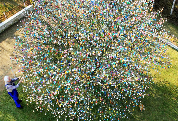 ΔΕΙΤΕ: Ένα δέντρο με 10.000 πασχαλινά αβγά! - Φωτογραφία 3
