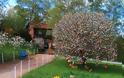ΔΕΙΤΕ: Ένα δέντρο με 10.000 πασχαλινά αβγά! - Φωτογραφία 2