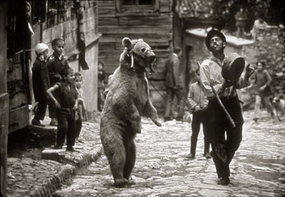 Ψηφίστε «Γορίλα», «Ασώματο κεφαλή» και την Αρκούδα που χορεύει όπως της βαράνε… - Φωτογραφία 1