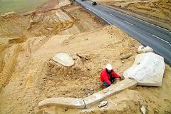 Βρέθηκαν φάλαινες στην έρημο της Χιλής! (pics)